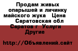 Продам живых опарышей и личинку майского жука › Цена ­ 10 - Саратовская обл., Саратов г. Услуги » Другие   